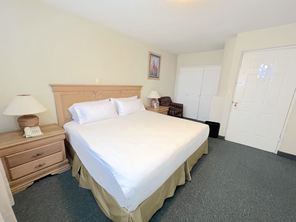 Junior Suite photo 3