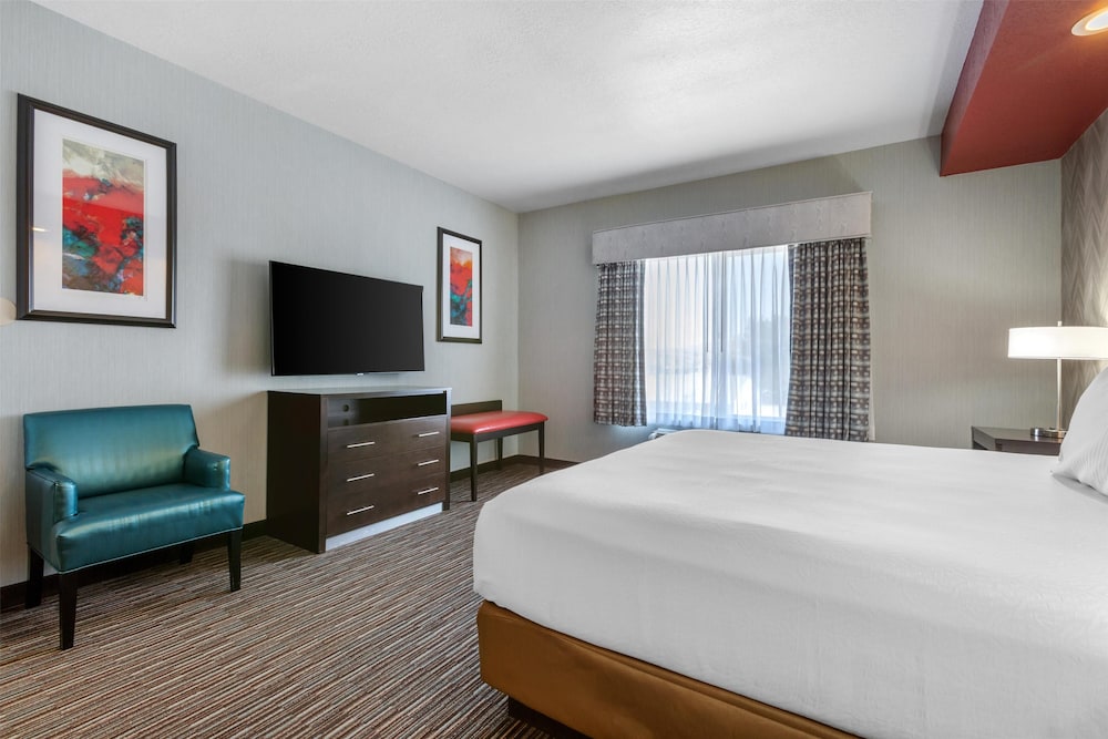 Suite, 1 King Bed, Non Smoking, Refrigerator & Microwave (with Sofabed) photo 3