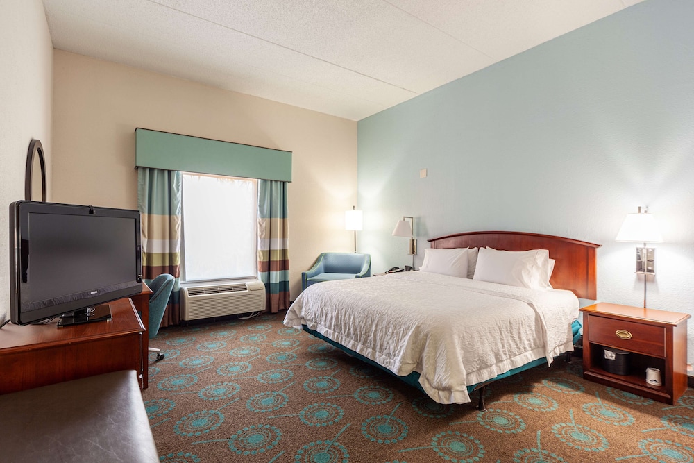 Room, 1 King Bed, Accessible, Non Smoking
