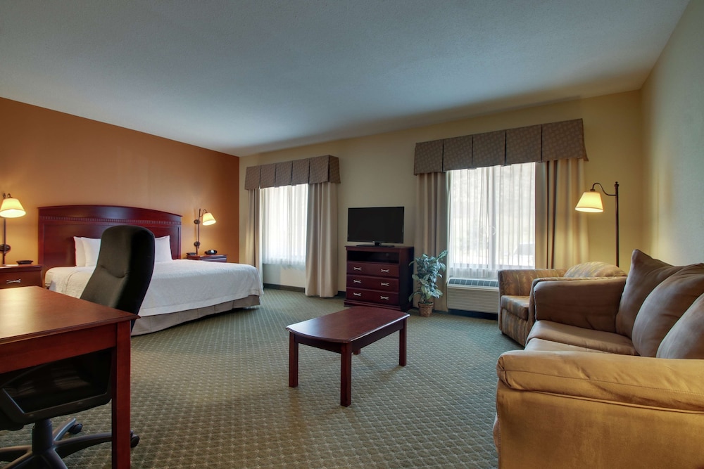 Studio, 1 King Bed, Accessible, Non Smoking (Mobility & Hearing, Roll-in Shower) - Photo 3