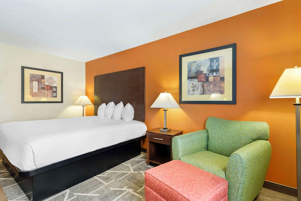 Standard Room, 1 King Bed, Non Smoking, Refrigerator & Microwave (Interior) - Photo 3