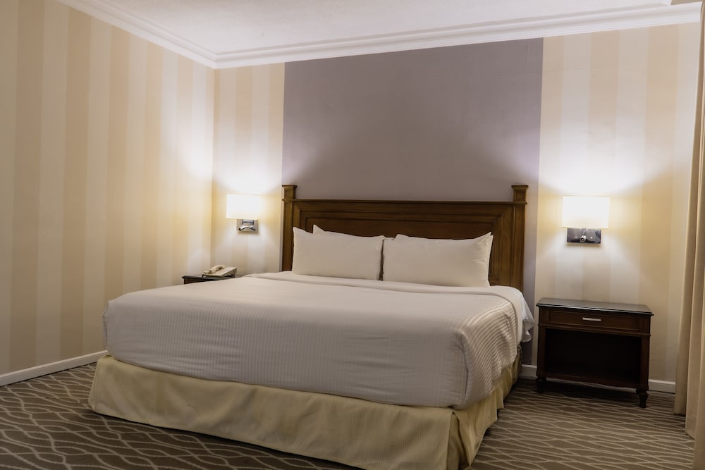 Executive Room, 1 King Bed photo 3