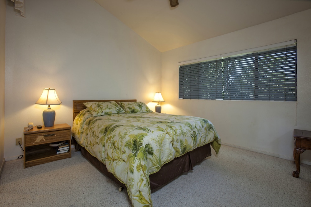 Suite, 1 Bedroom photo 3