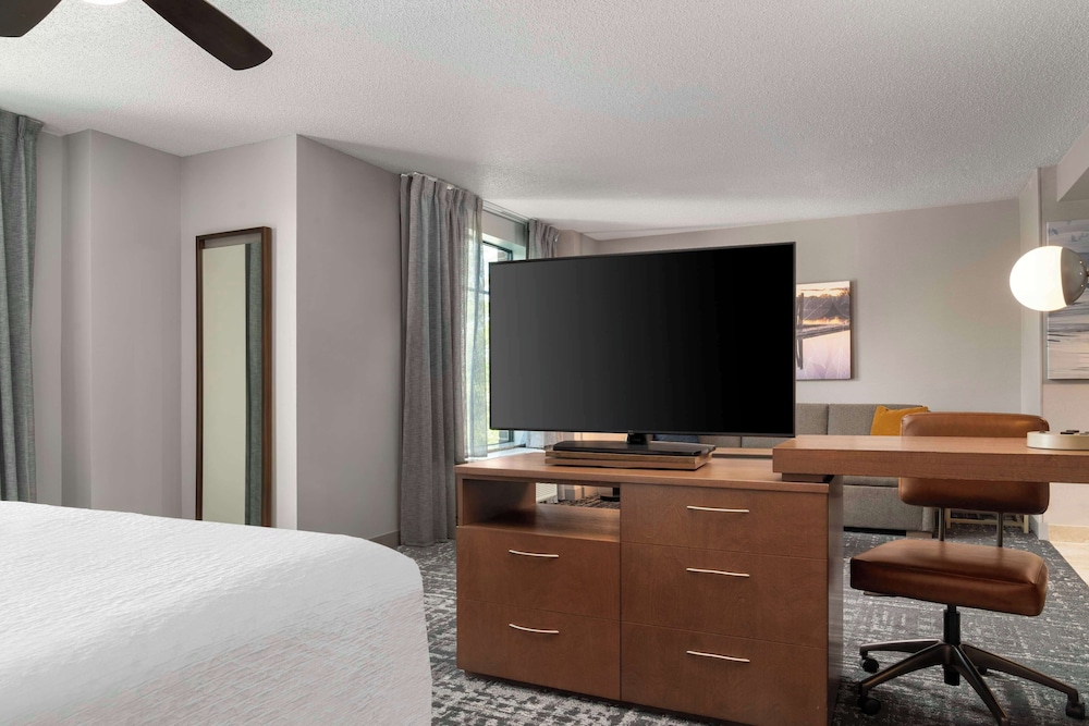Studio, 1 King Bed, Accessible (Mobility & Hearing, Roll-in Shower) - Photo 4