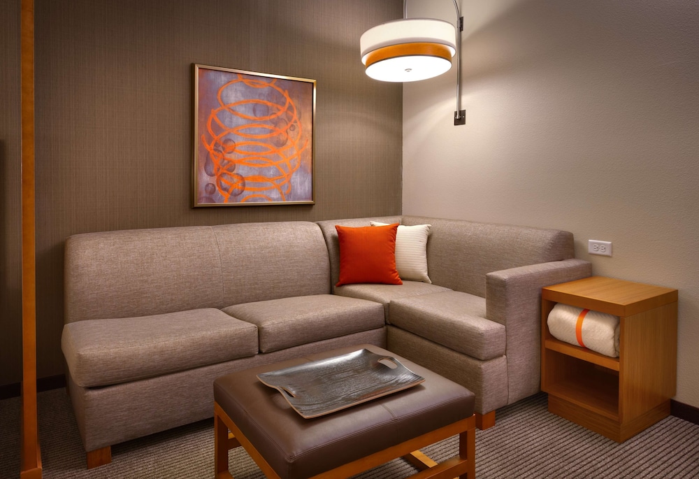 Room, 1 King Bed with Sofa bed, Accessible (1 Bedroom, Accessible Shower) photo 3