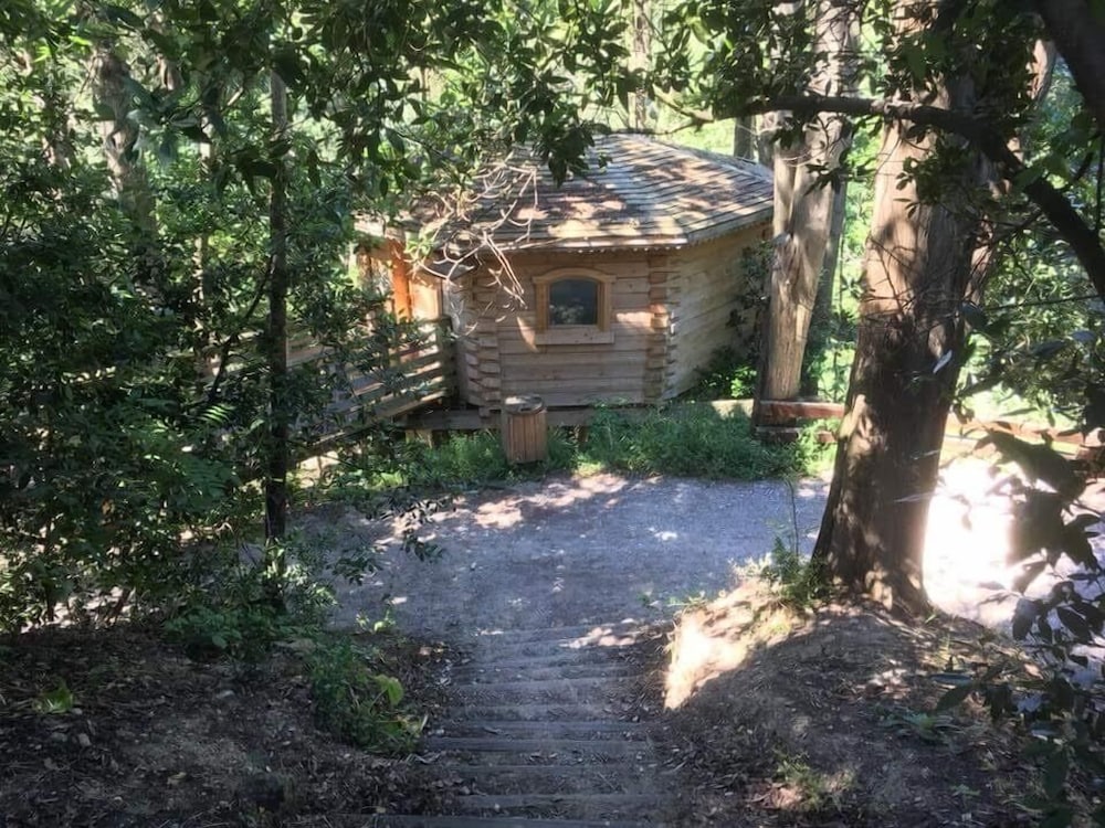Cassine Cabin