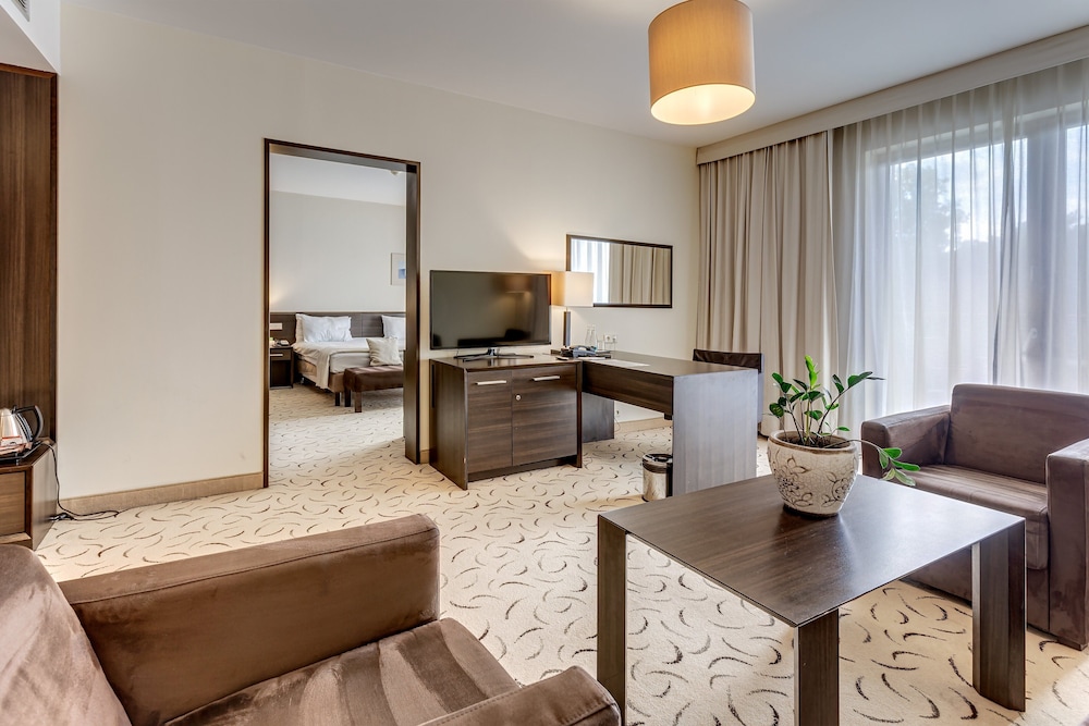 Suite, 1 King Bed with Sofa bed photo 2