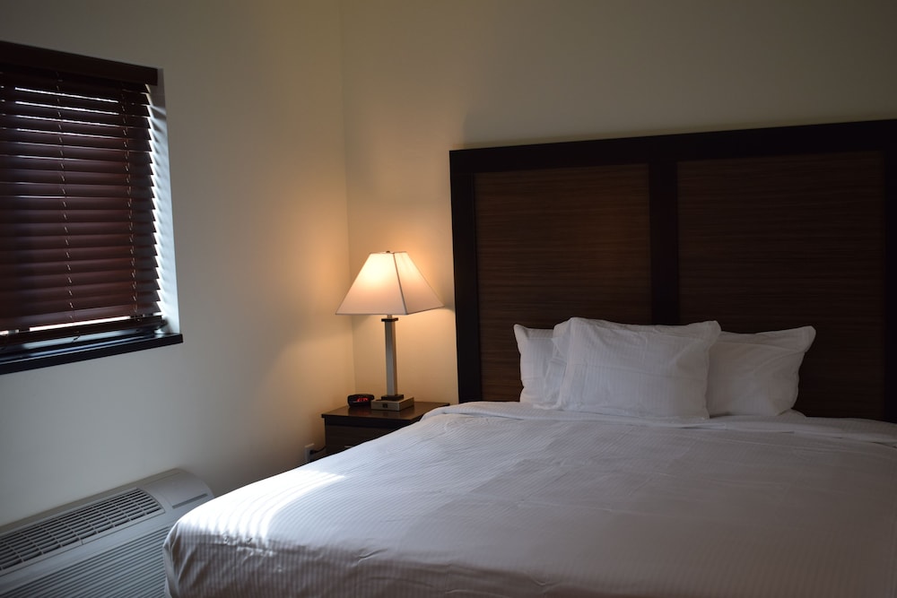 Basic Room, 2 Double Beds photo 1