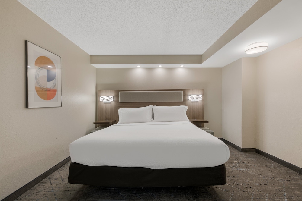 Suite, 1 Bedroom