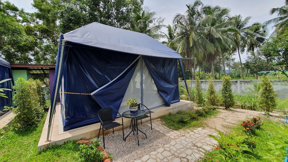 Quadruple Tented Room - Photo 8