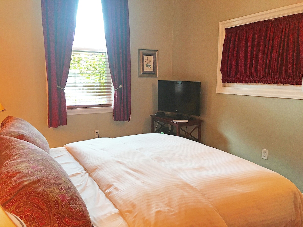 Large Extended Suite 503 (1bdrm apt) - Photo 2