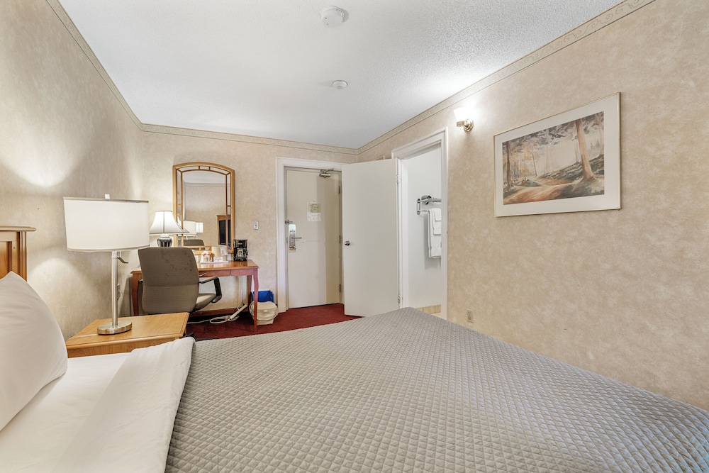 Deluxe Quadruple Room photo 2