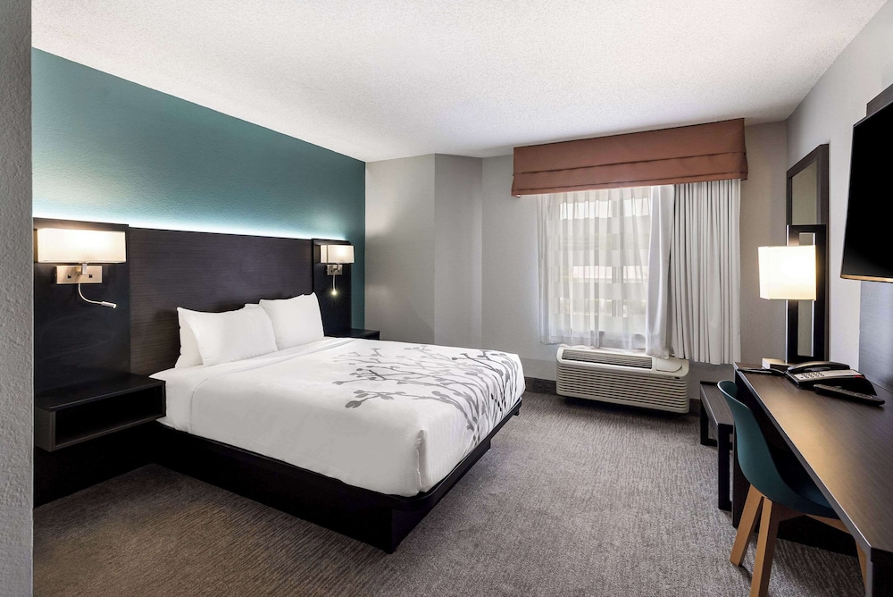 1 Queen Bed