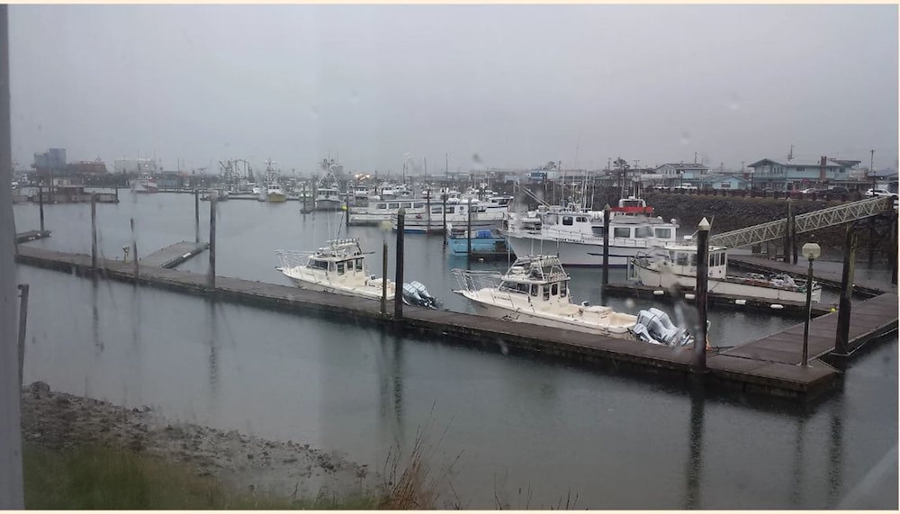 Deluxe Room, 1 Queen Bed, Refrigerator & Microwave, Marina View photo 3