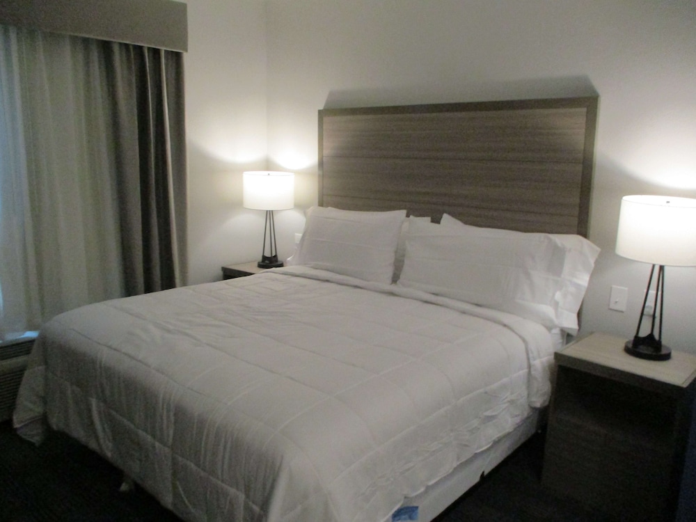 Suite, 1 King Bed, Non Smoking (with Single Sofabed) - Photo 1