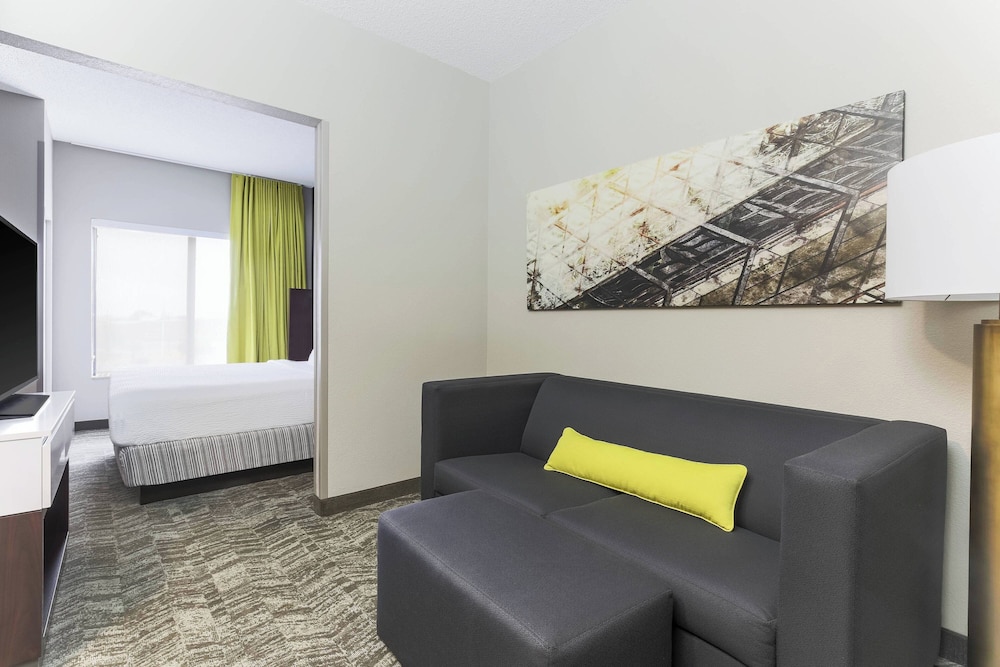 Studio Suite, 1 King Bed with Sofa bed (Mobility/Hearing Access, Roll-in Shwr)