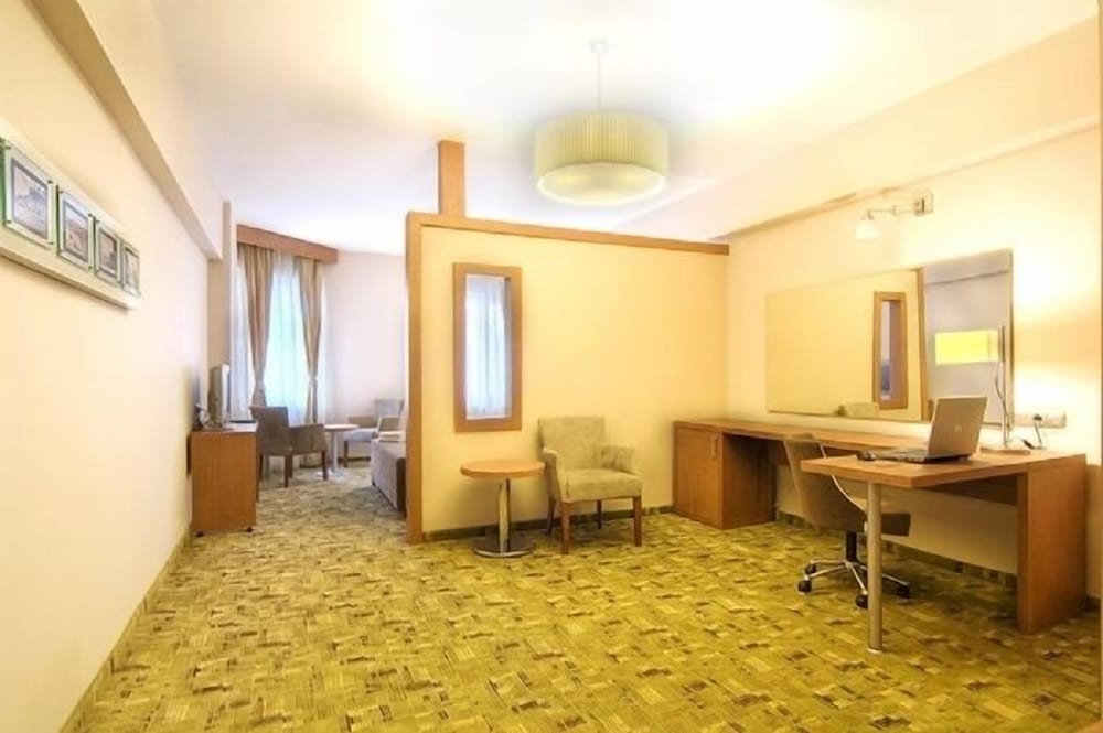 Business Room, Smoking, City View photo 3
