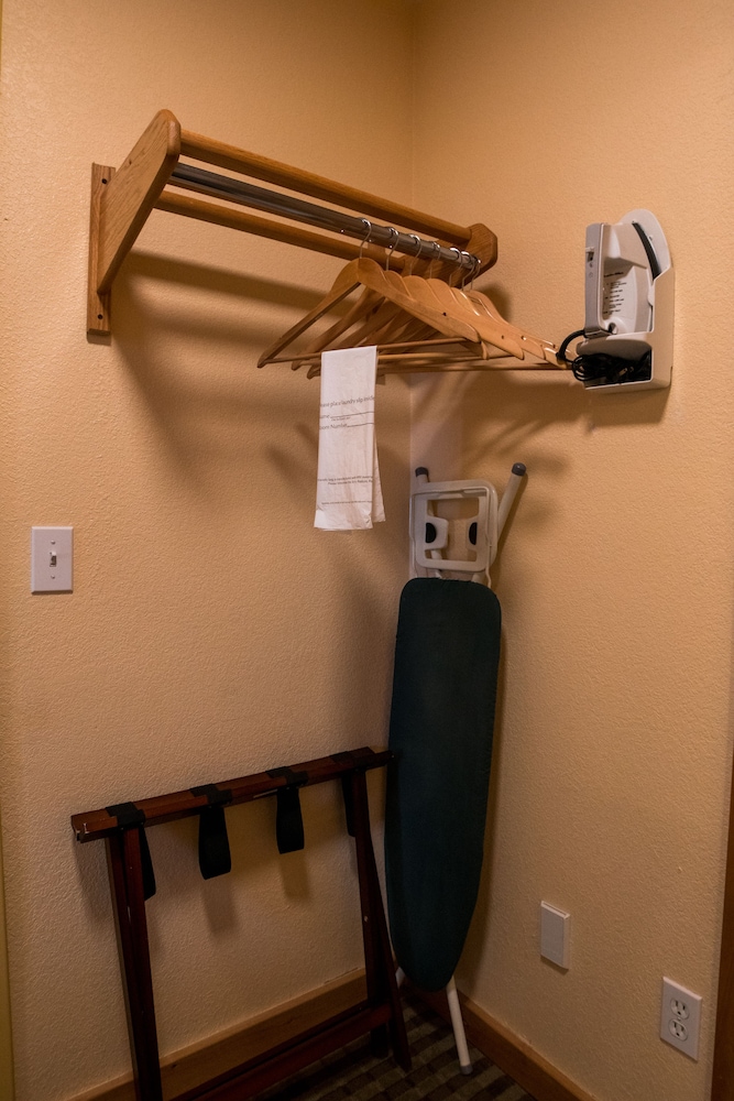 Studio, 1 King Bed, Mountain View