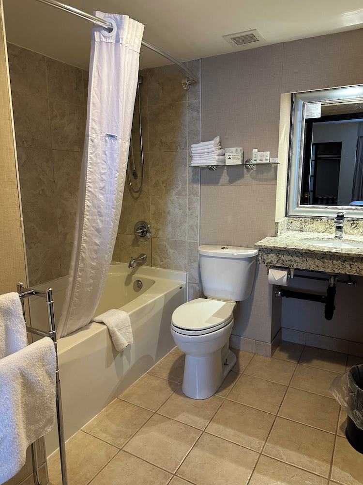 Studio Suite, 1 Queen Bed, Non Smoking - Photo 8