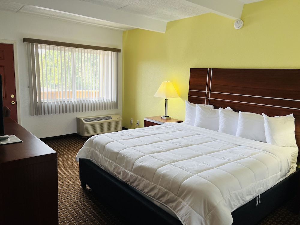Single Room photo 1