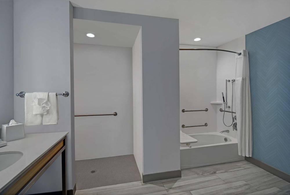 Suite, 1 King Bed, Accessible, Bathtub (Roll-In Shower) - Photo 7