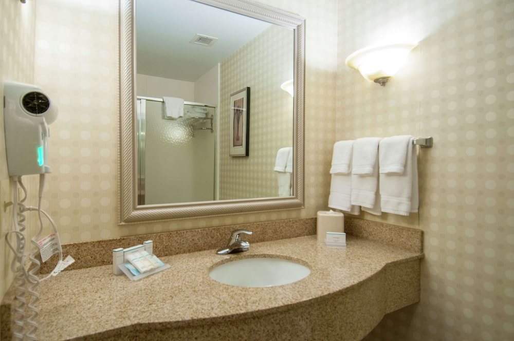 Mini suite, One King Bed - Photo 8