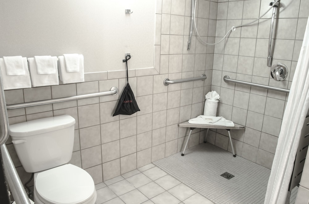 Standard Room, 1 Queen Bed, Mobility Accessible (Communications) - Photo 10
