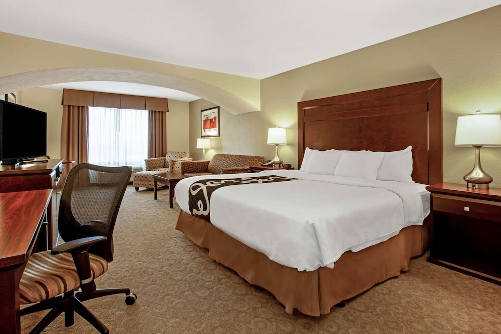 Deluxe Suite, 1 King Bed, Non Smoking (Deluxe Executive Suite) - Photo 1
