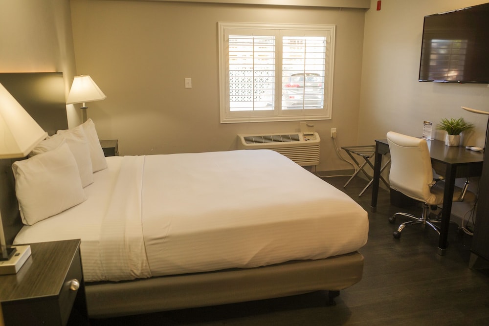 King Queen Queen ADA Suite photo 3
