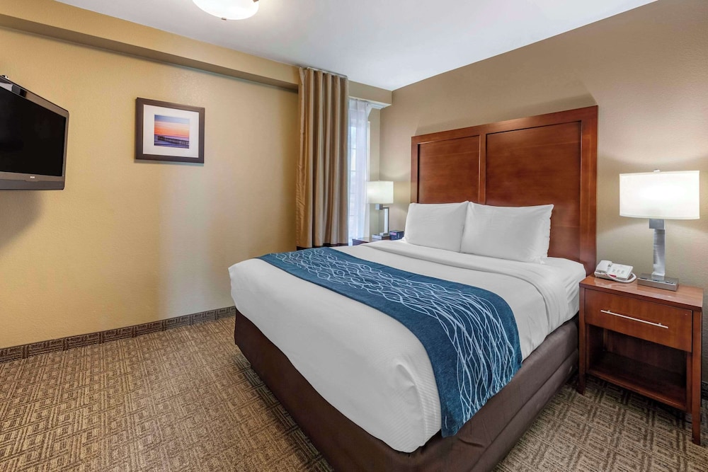 Studio Suite, Multiple Beds, Non Smoking