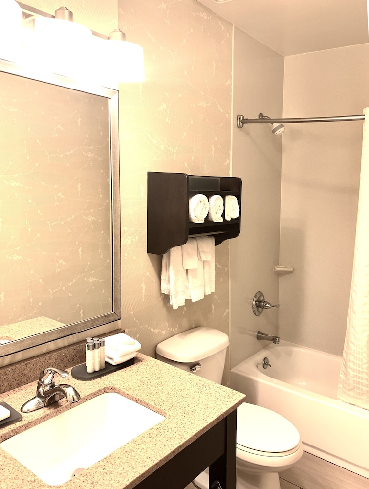 Superior Room, 1 Queen Bed, Terrace (Empire State)