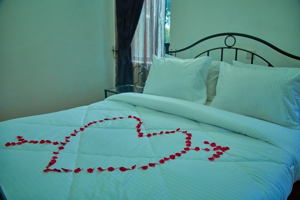 Comfort Double or Twin Room photo 2