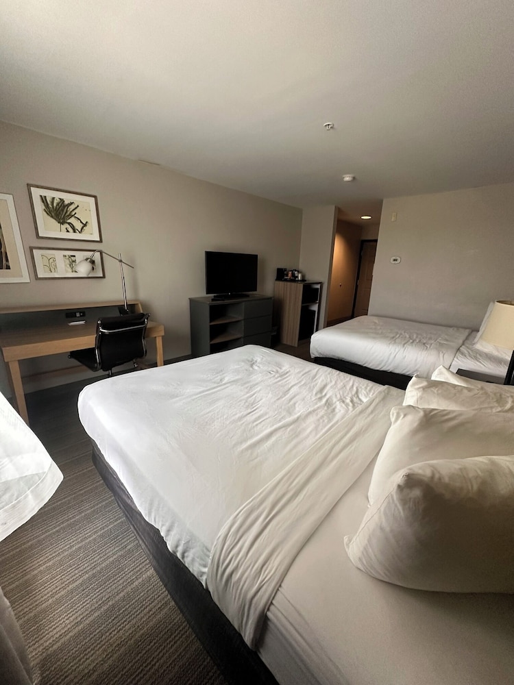 Deluxe Studio Suite, Multiple Beds, Non Smoking photo 2
