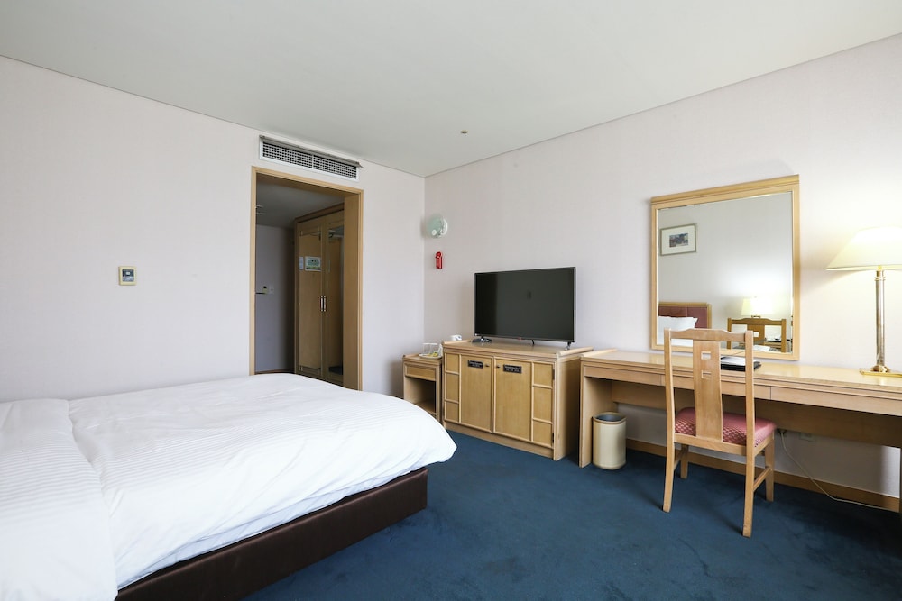 Standard Double Room, City View photo 3