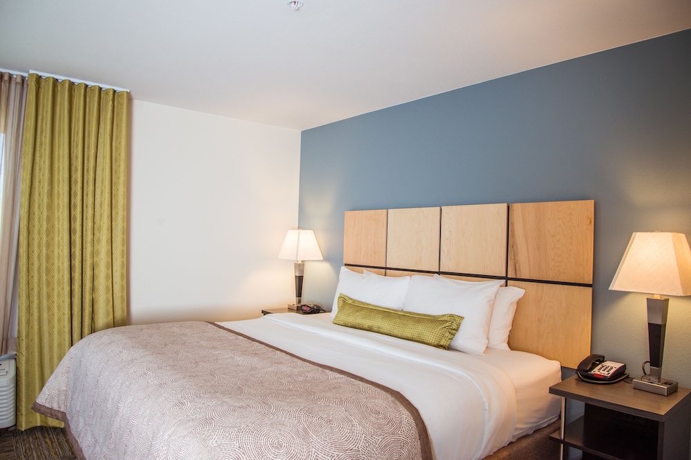Suite, 1 Bedroom photo 3