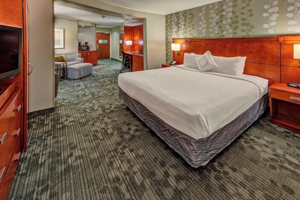 Studio Suite, 1 King Bed with Sofa bed (Hearing Accessible)
