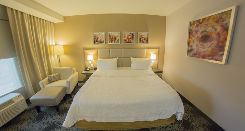 Room, 1 King Bed, Non Smoking, Refrigerator