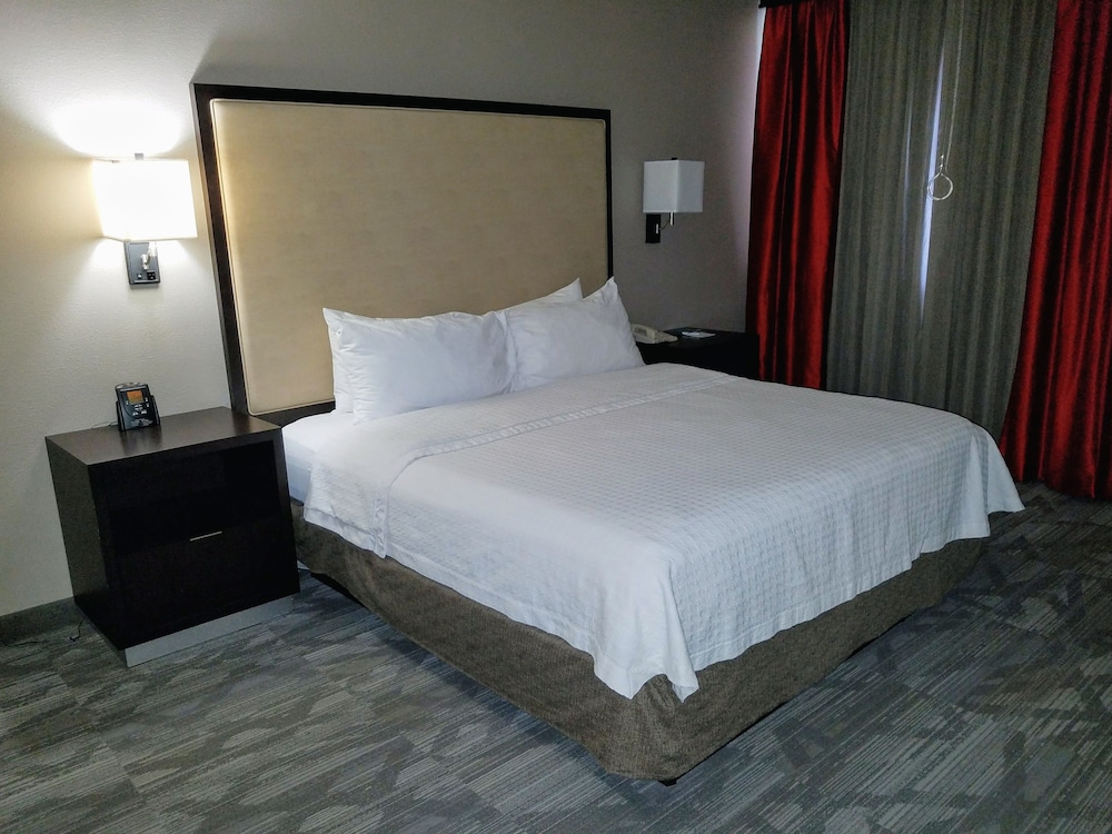 Suite, 1 King Bed, Accessible, Non Smoking (Roll-in shower) - Photo 5