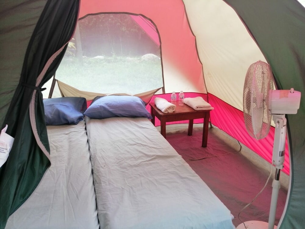 Basic Tent photo 1