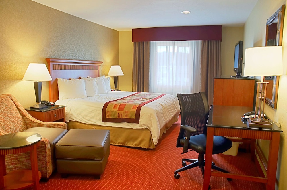 Standard Room, 1 King Bed, Accessible, Non Smoking photo 1