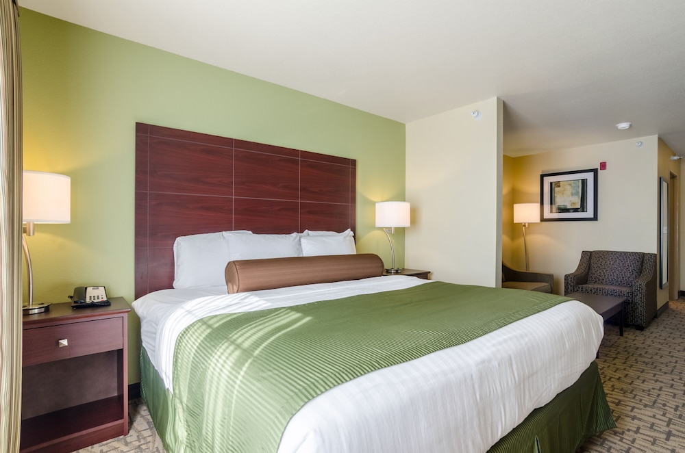 Suite, 1 King Bed with Sofa Bed, Audible Visual Alert, Non Smoking photo 3