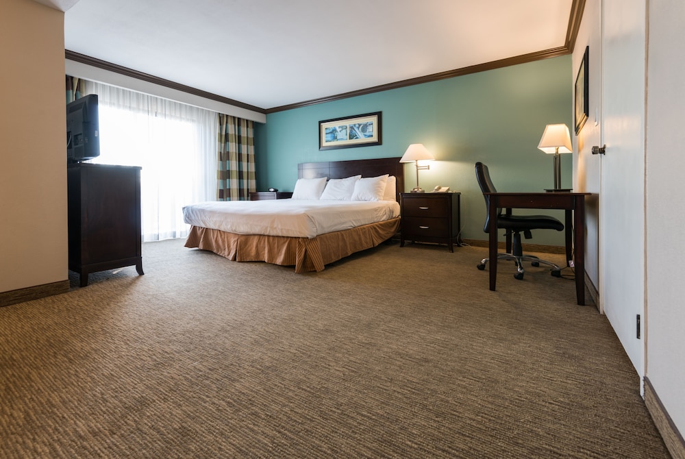 Executive King Suite photo 3
