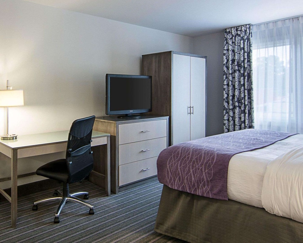 Room, 1 King Bed, Non Smoking - Photo 3