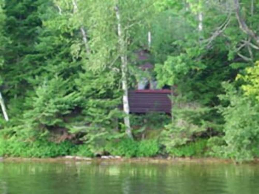 Homestead Cabin photo 3
