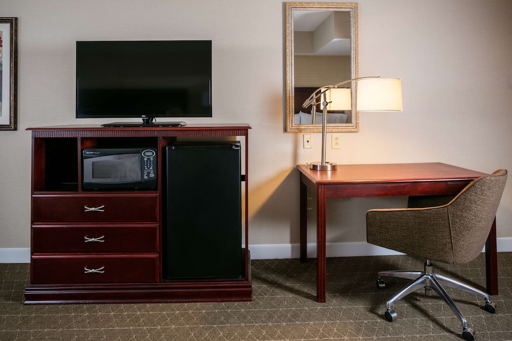 Room, 1 King Bed, Accessible, Non Smoking - Photo 4