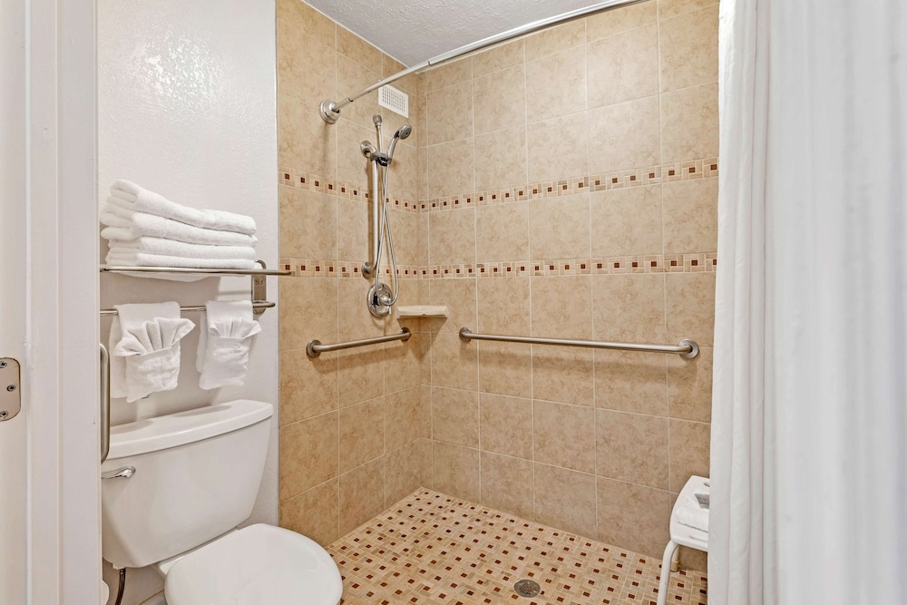 Standard Room, 1 King Bed, Accessible, Refrigerator & Microwave - Photo 7