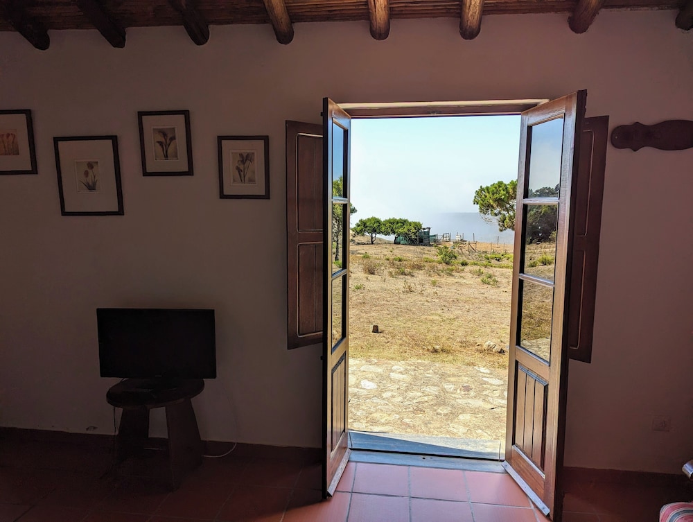 Standard Apartment, 1 Bedroom, Partial Ocean View photo 2