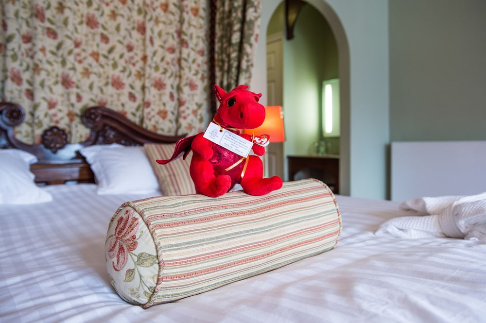 Premier Room photo 3