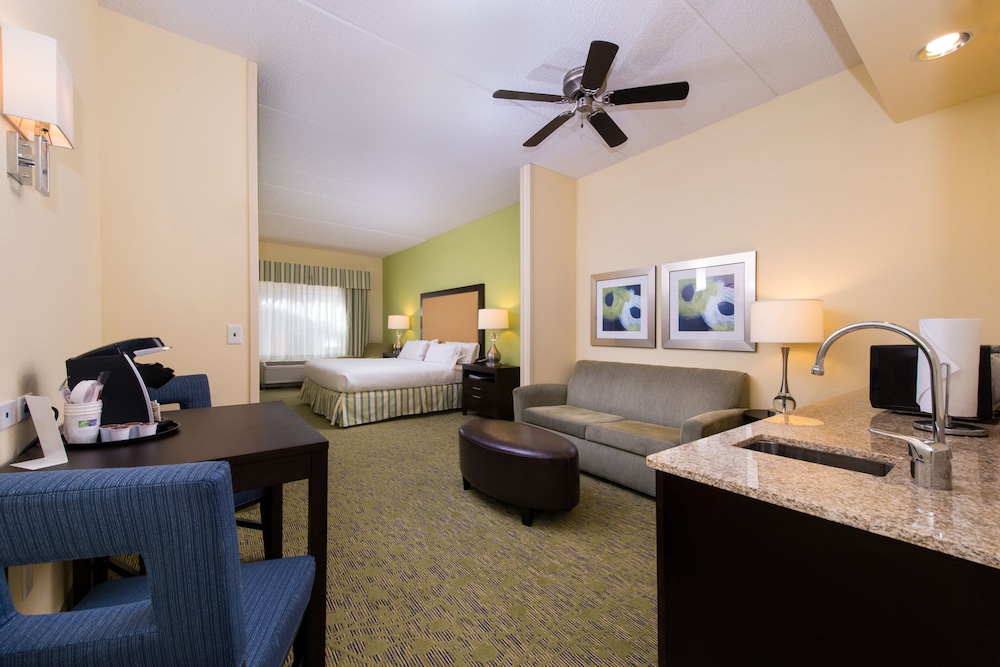 Suite, 1 King Bed - Photo 4