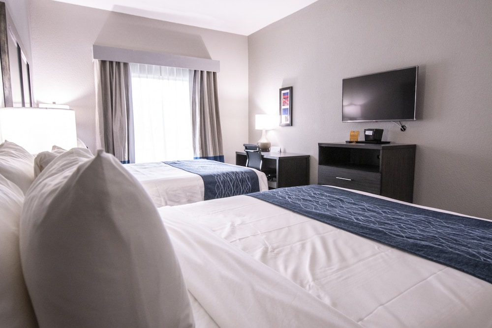 Comfort Inn and Suites Near Medical Center, Photo 4